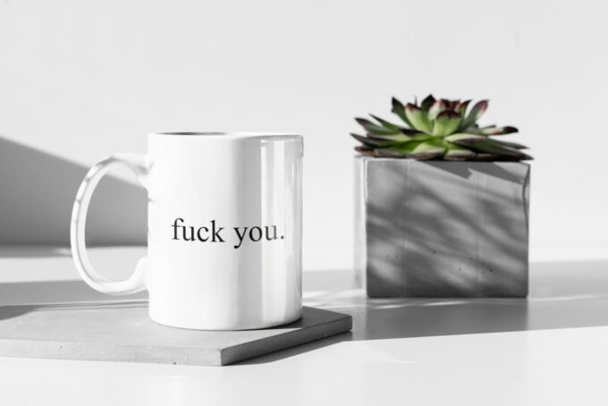 Fuck You. Funny Mug, Meme Gift, Gift For Him, Gift For Her, Joke Gift, 11 oz Ceramic Mug Gift