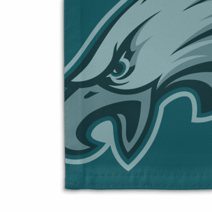 Philadelphia Eagles American Landscape House Flag
